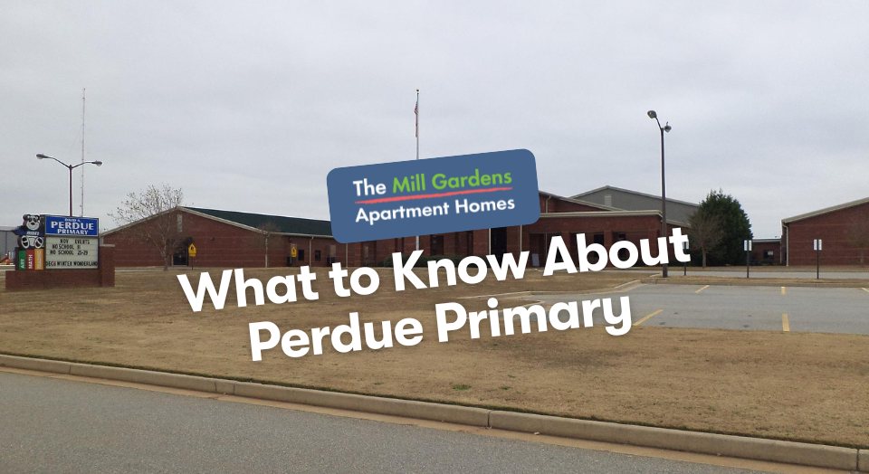 Perdue Primary School in Warner Robins, Georgia — a nurturing foundation for young learners